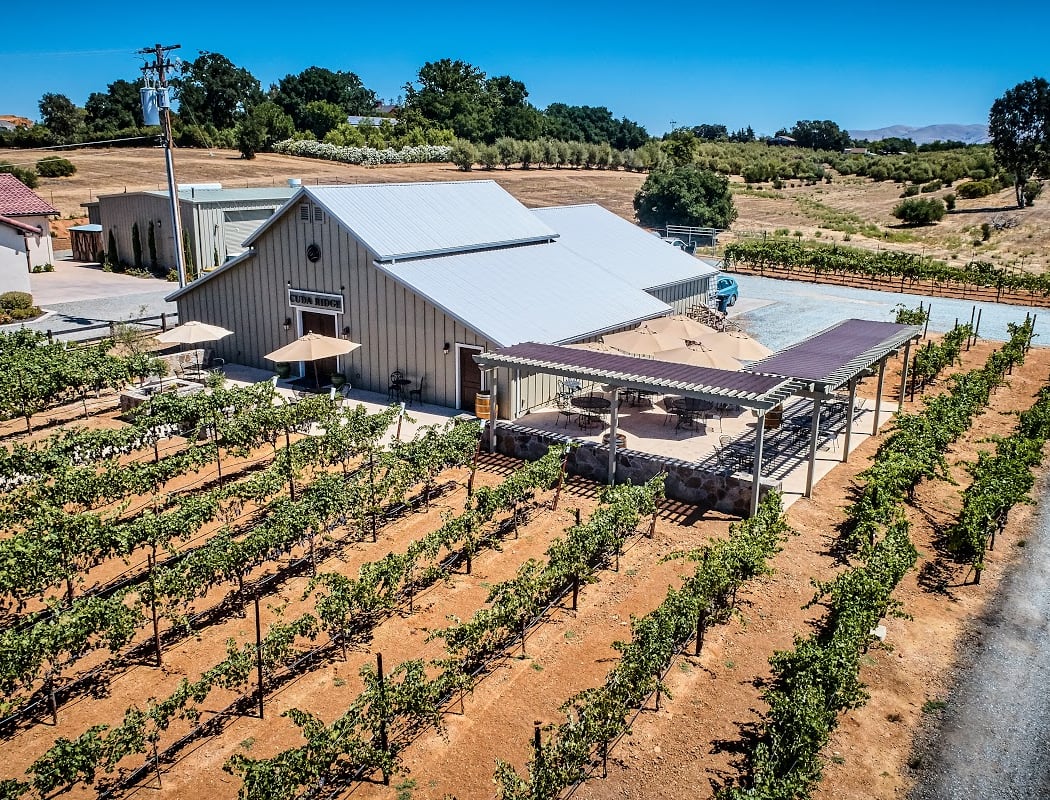 Open for Wine Tasting 4
