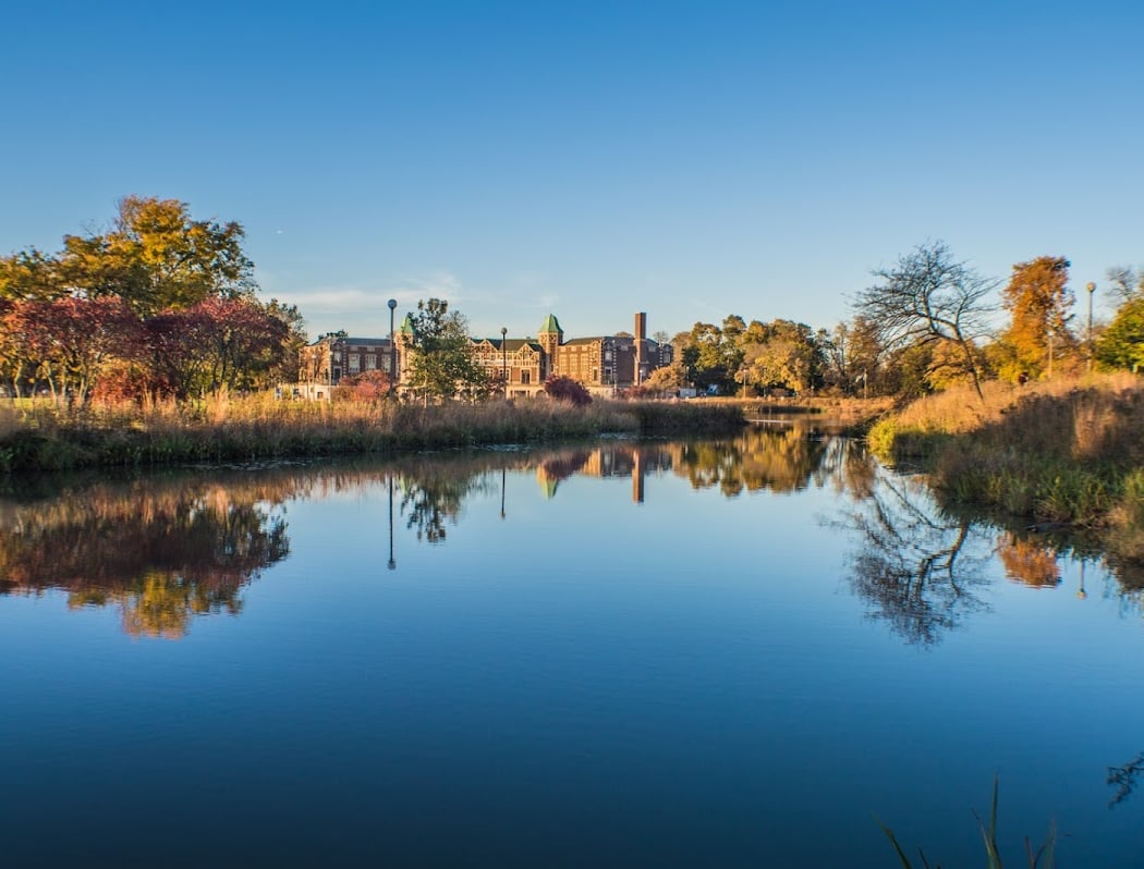 Walking History: Exploring Chicago Parks at Humboldt