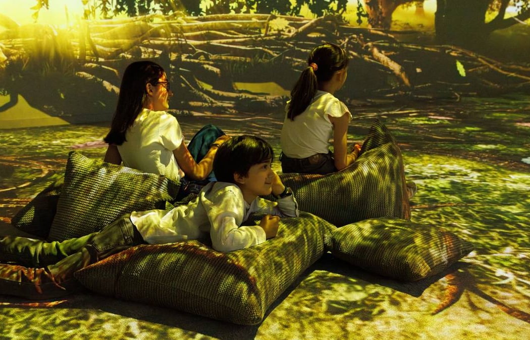 Cité Immersive Viking 1