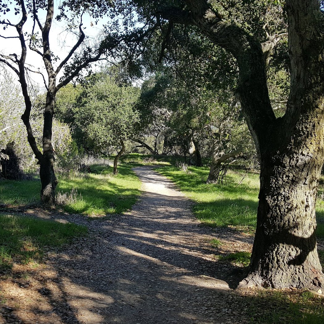 Heintz Open Space 1