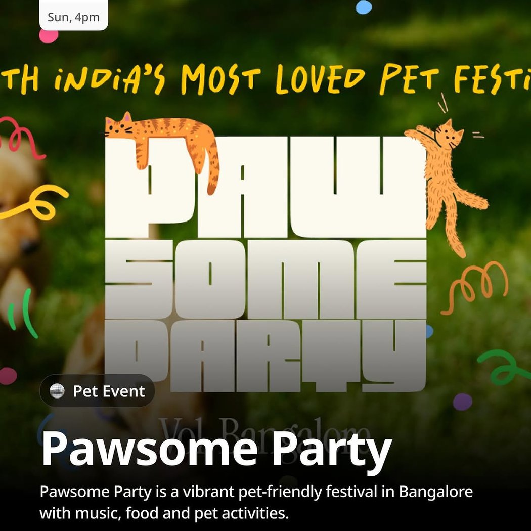 Pawsome Party 1