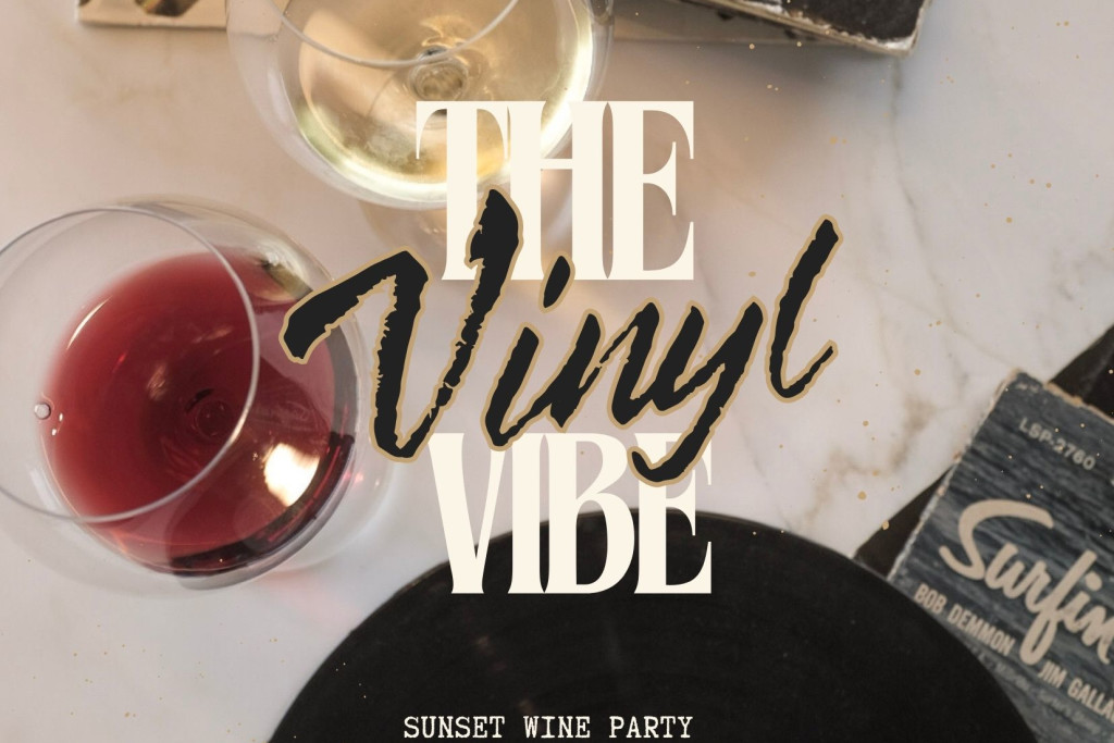 The Vinyl Vibe 1