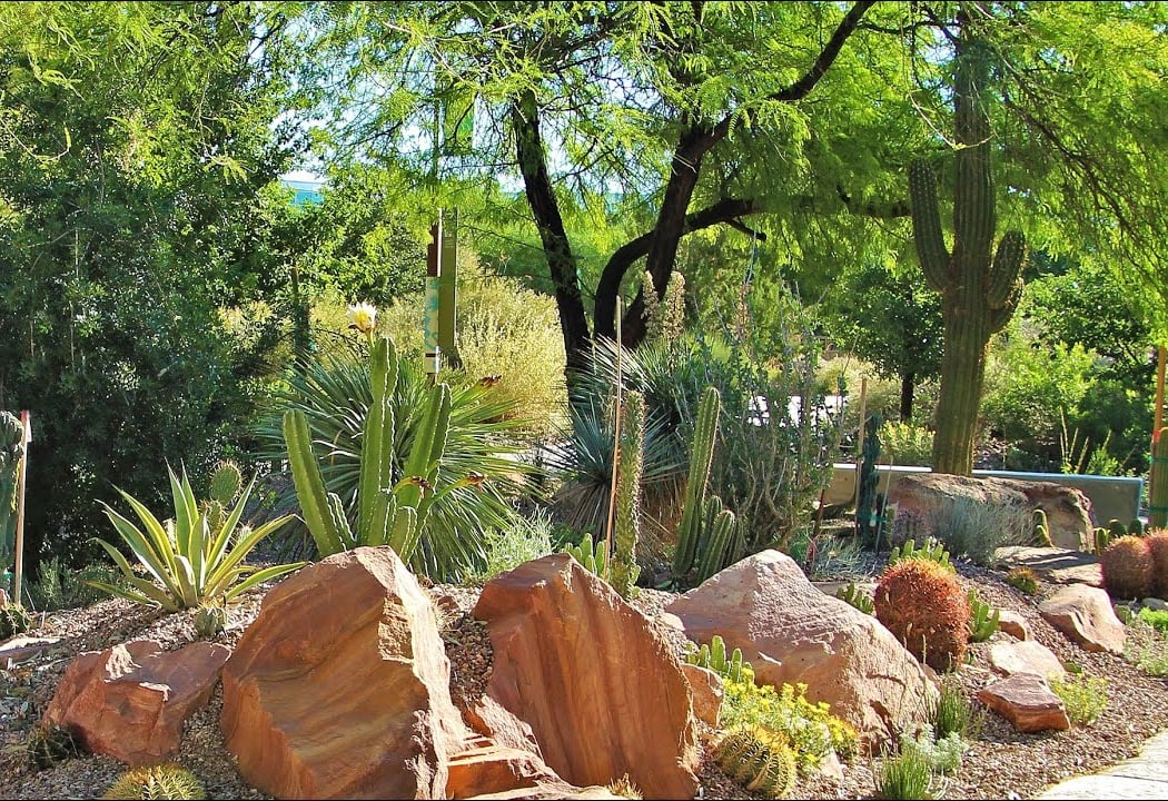 Springs Preserve 3