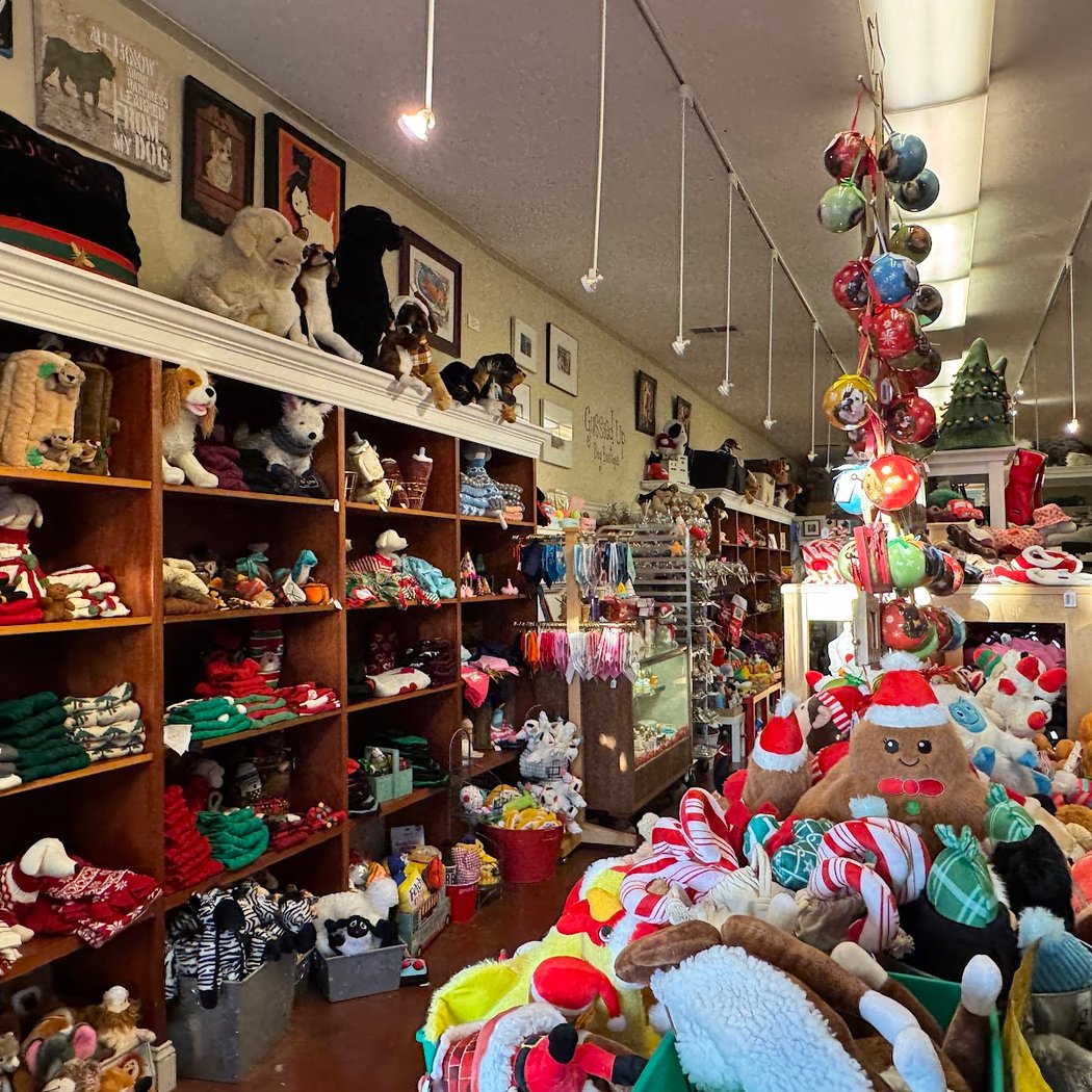 Gussied Up Dog Boutique 3
