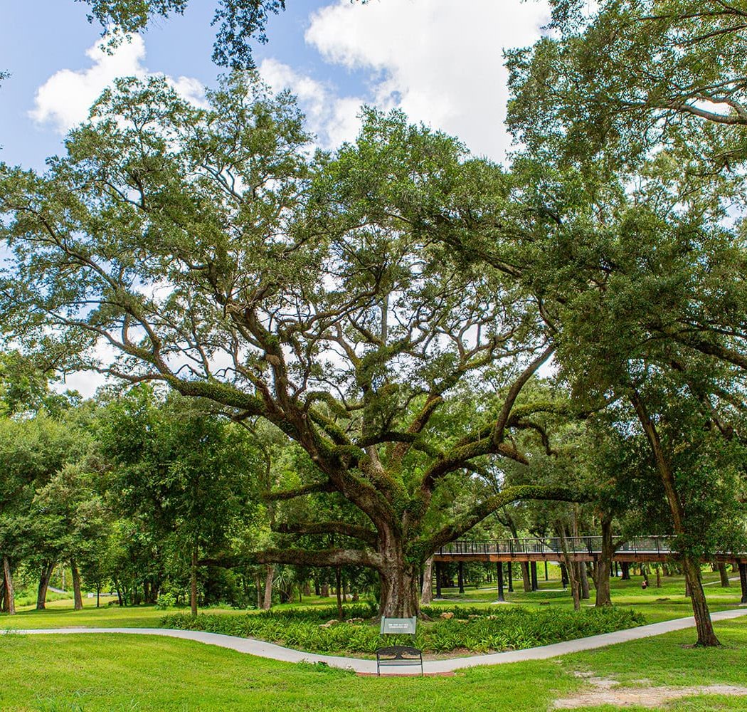 Bonnet Springs Park 1