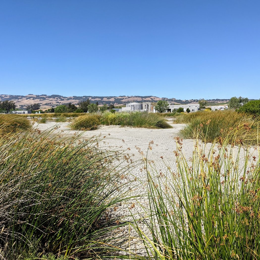 Guided Bird and Nature Walk 2