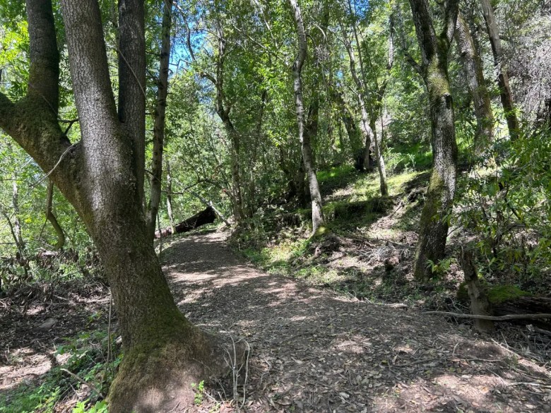 Los Gatos Creek Trail - Vasona Park 2