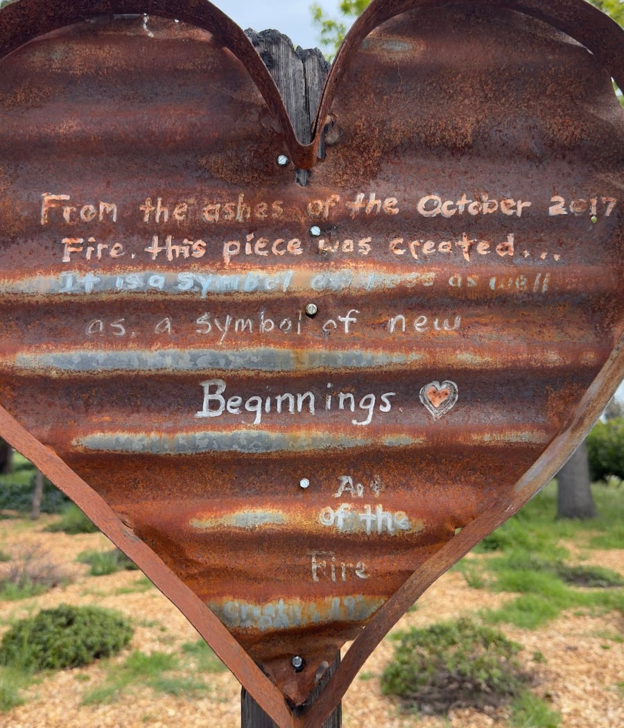 Coffey Park Dog Park 3
