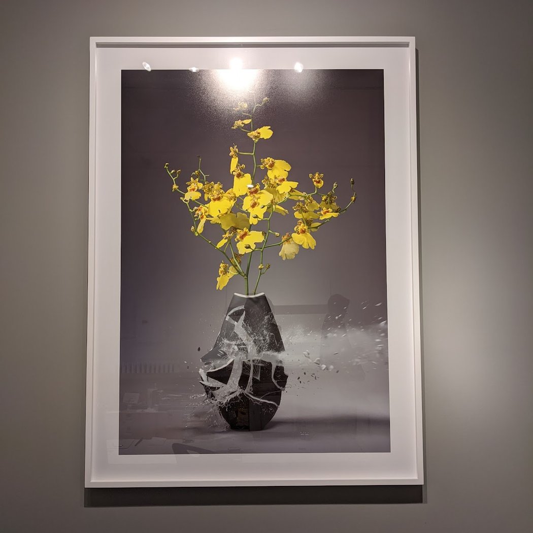Kips Gallery 1