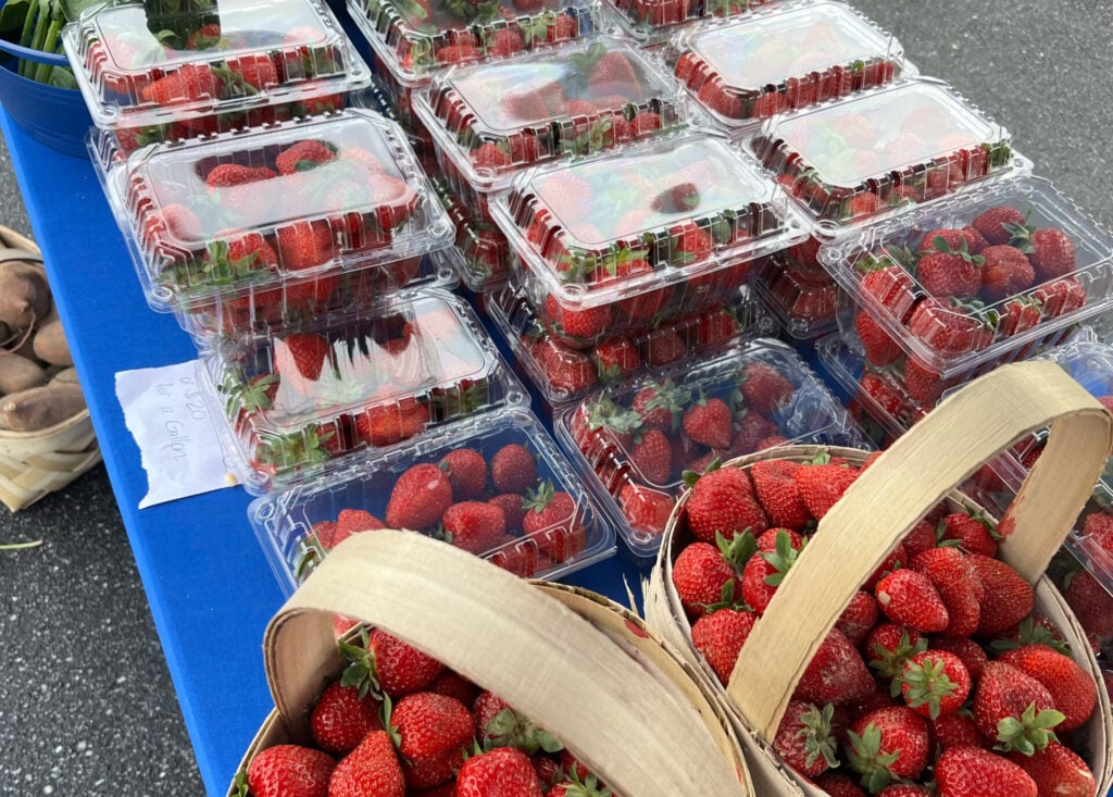 Lyman Farmers Market 3