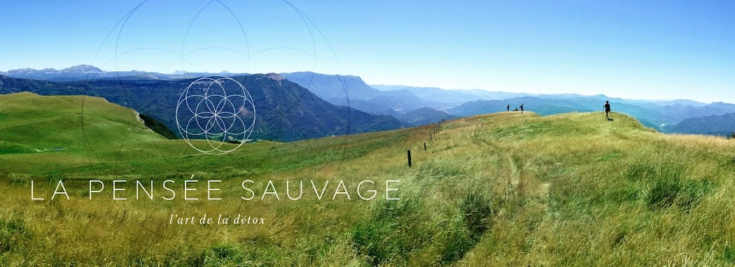La Pensée Sauvage 2