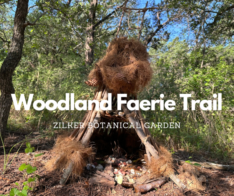 Woodland Faerie Trail Closing Celebration 1