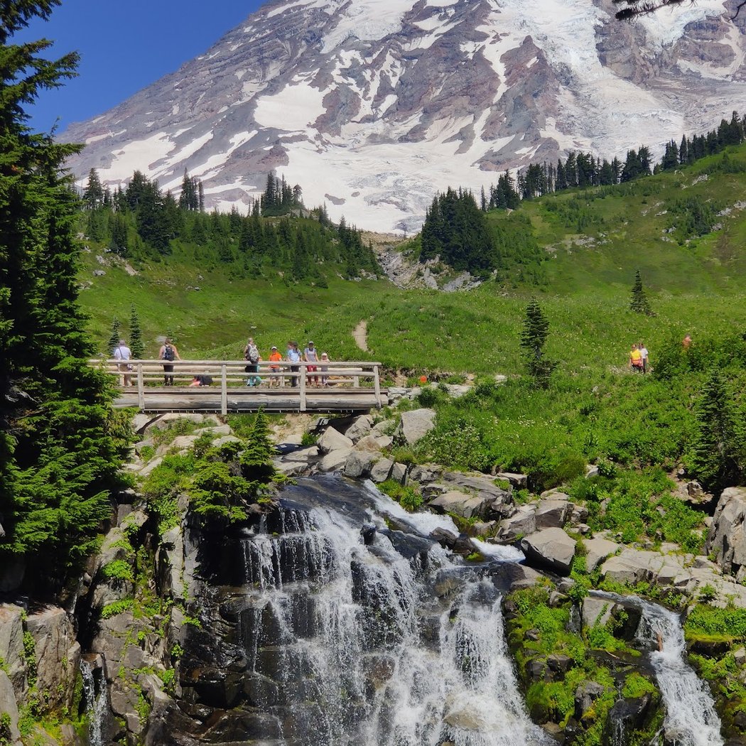 Mount Rainier National Park 2