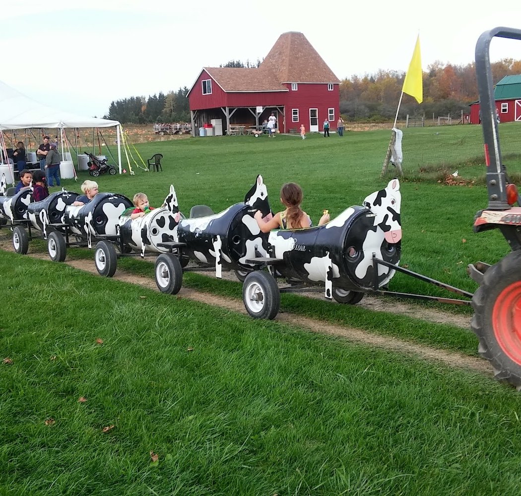 Fall Harvest Celebration 2