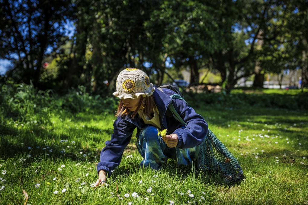 Summer Foraging Walk 2