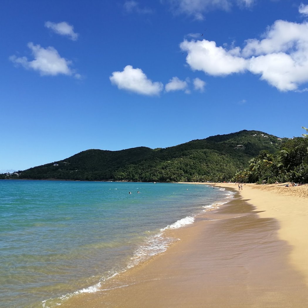 Plage de Grande Anse 2