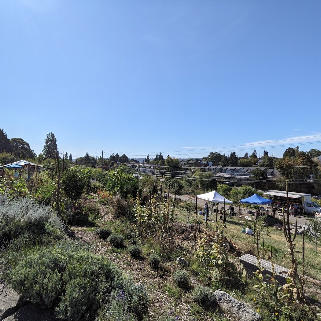 Drop-in Nature Play Days 2