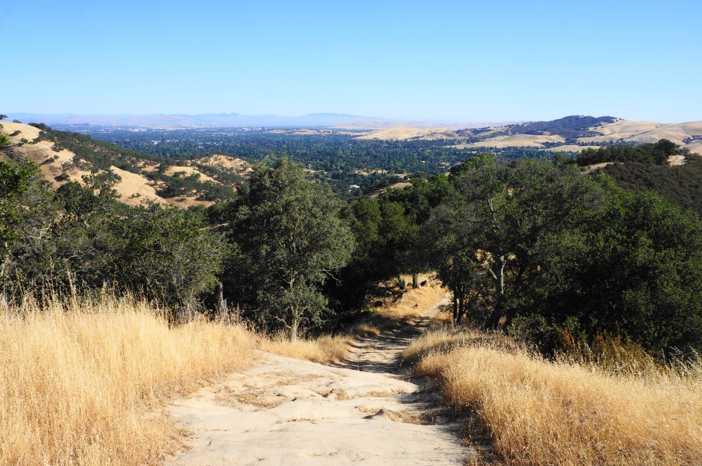 Diablo Foothills Regional Park 2