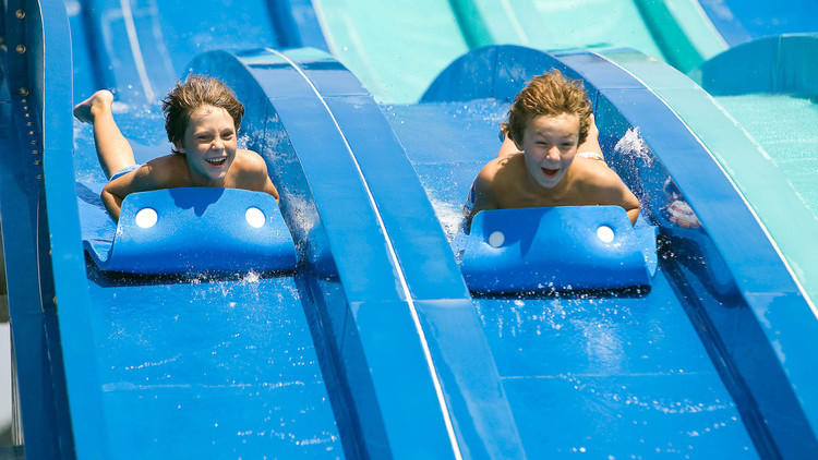 Dorney Park & Wildwater Kingdom 1