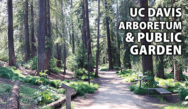 UC Davis Arboretum and Public Garden 1