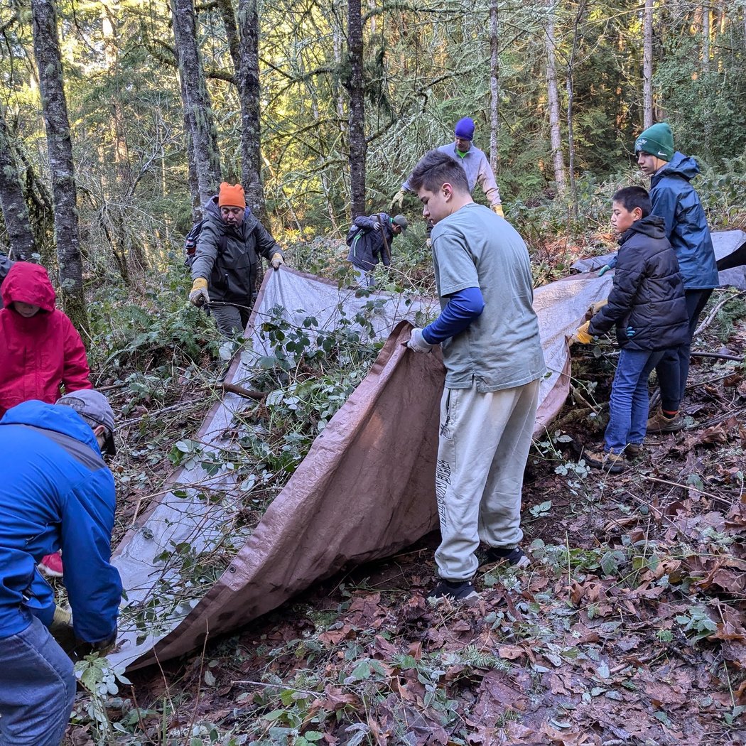 Green Issaquah: Restoration Event 2