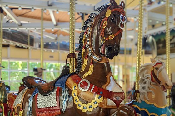Nunley’s Carousel Open 1