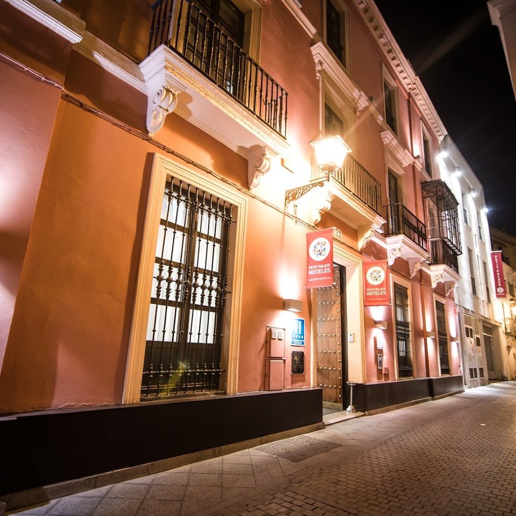 Petit Palace Marqués Santa Ana 2