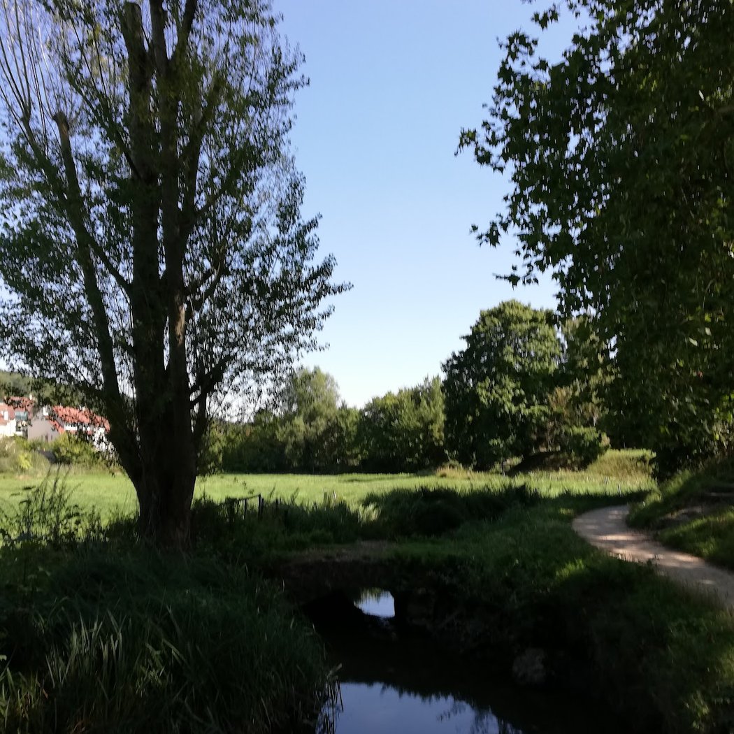 Bièvre 3