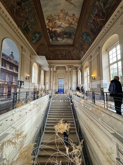 COLLECTIONS DU MUSÉE 3