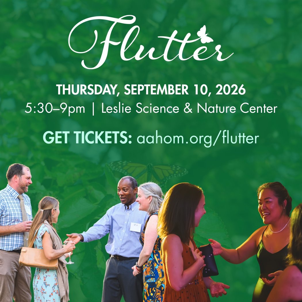 Flutter