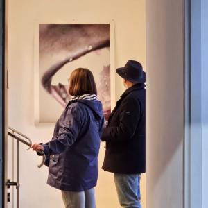 Café découverte de l'exposition “We had the same dream last night” 1