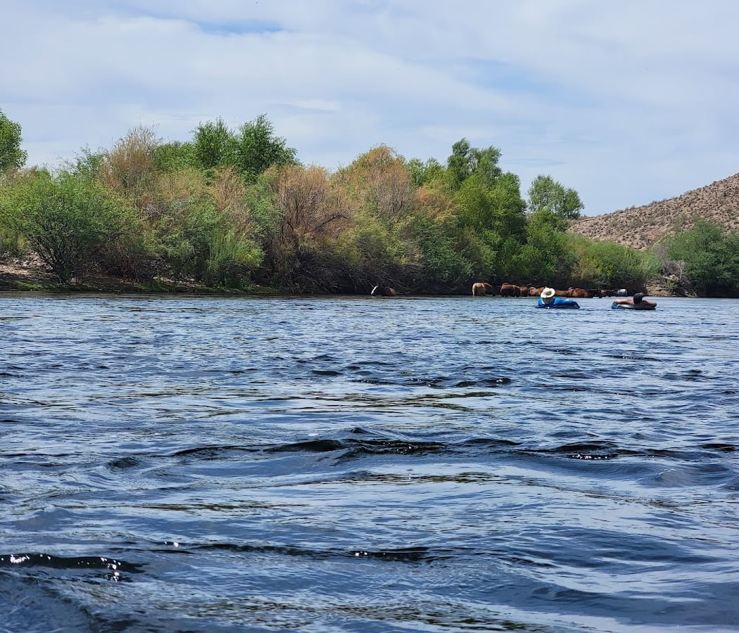 Salt River Tubing 2