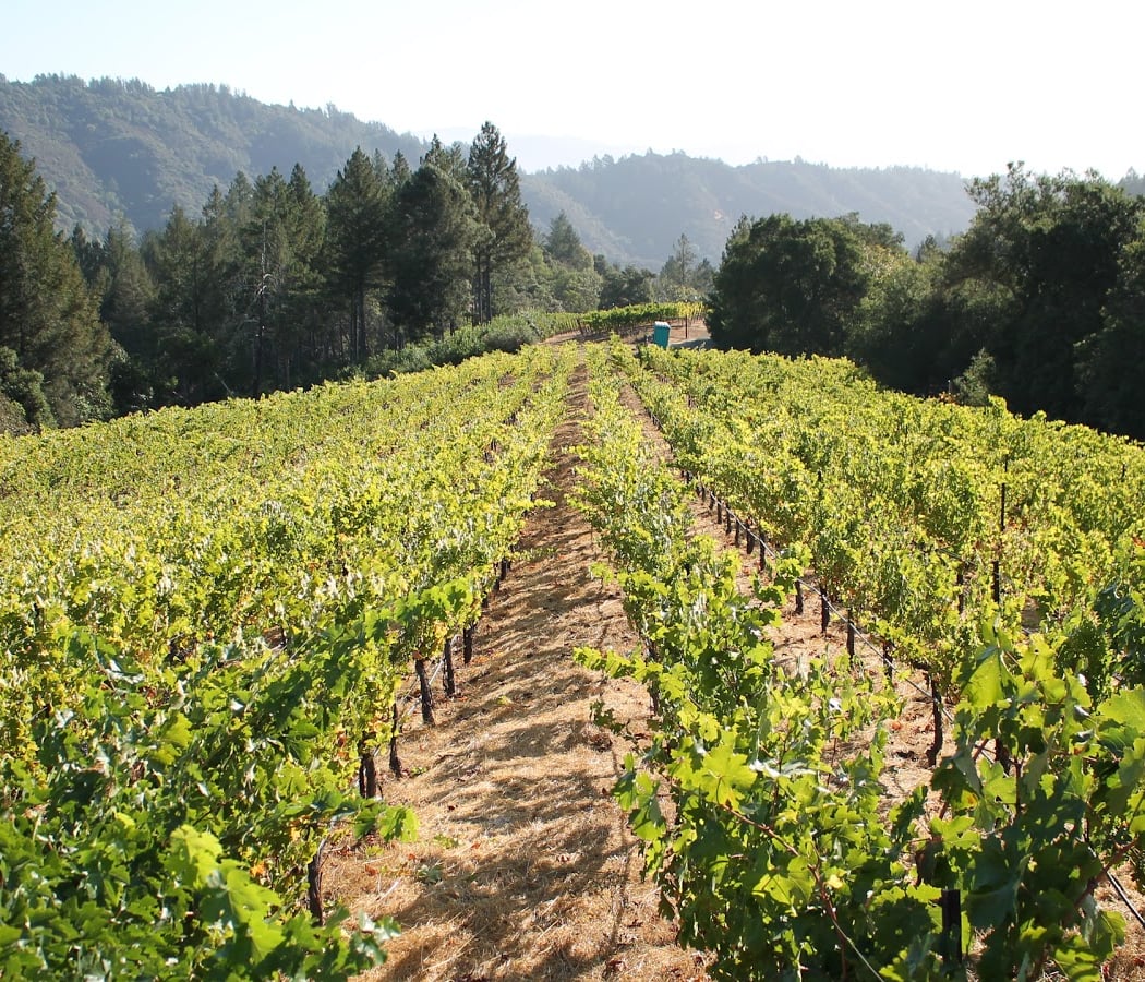 Blend Your Own Bottle Of Wine 2