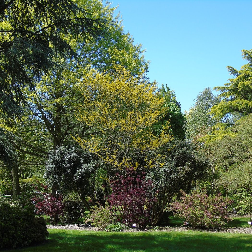 Brocéliande Gardens 2
