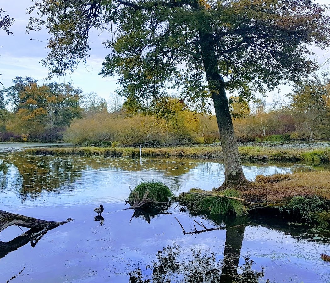 Parc de Villeroy 1