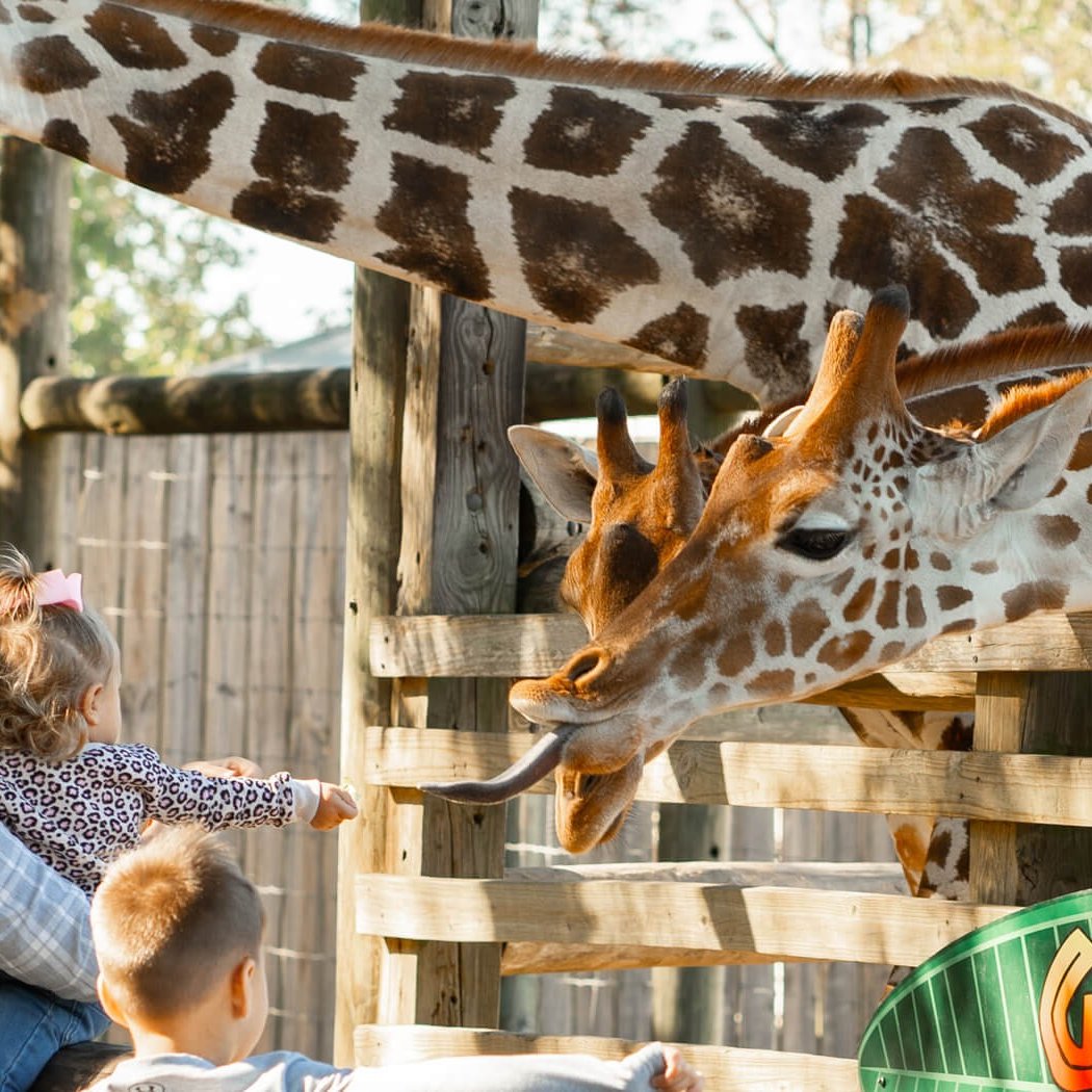 Gulf Breeze Zoo 3