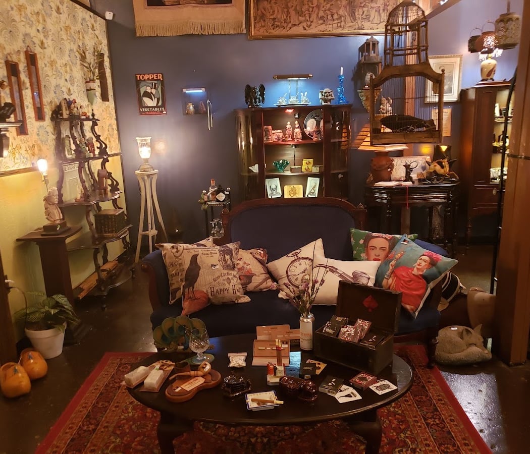 Curioporium 2