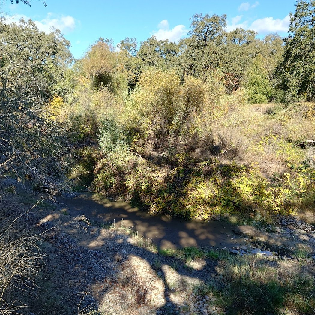 Napa River Trail 3