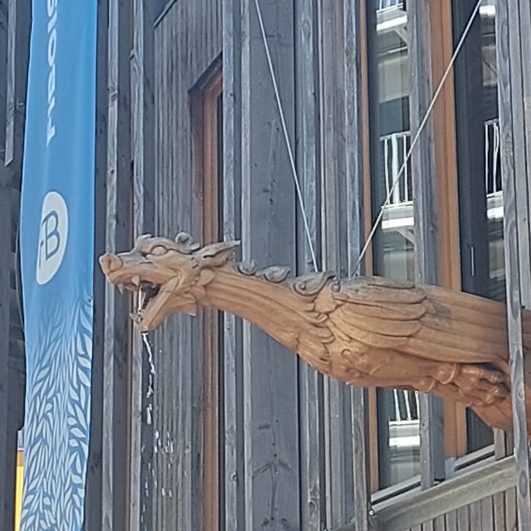 Balade urbaine "Le bois dans la ville" 1
