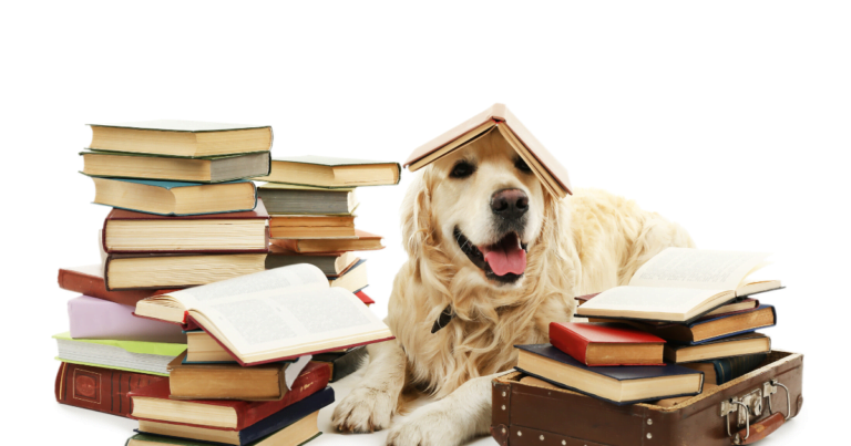 Paws for Tales 1