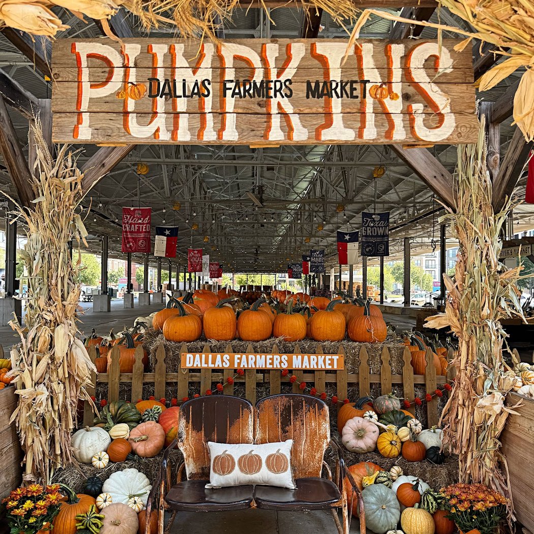 Pumpkin Patch 2