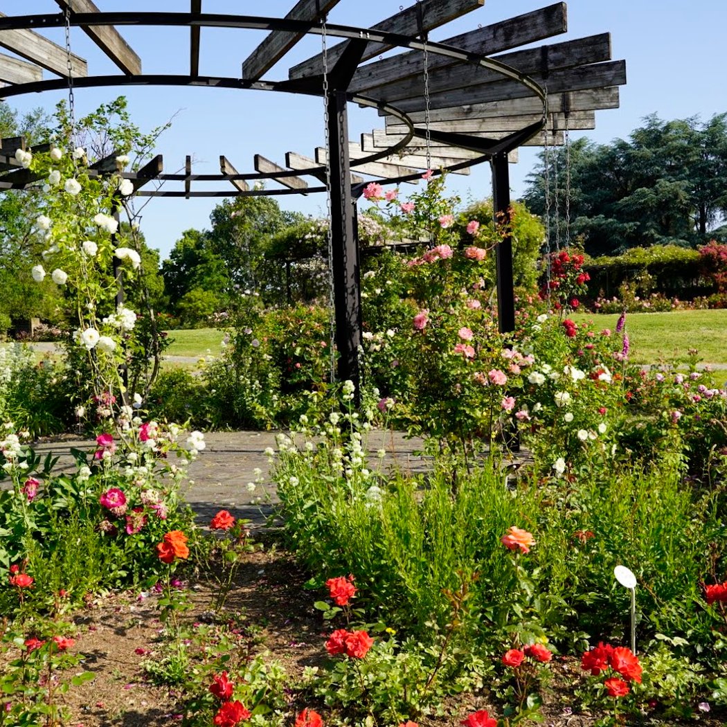 Parc Floral la Roseraie 5