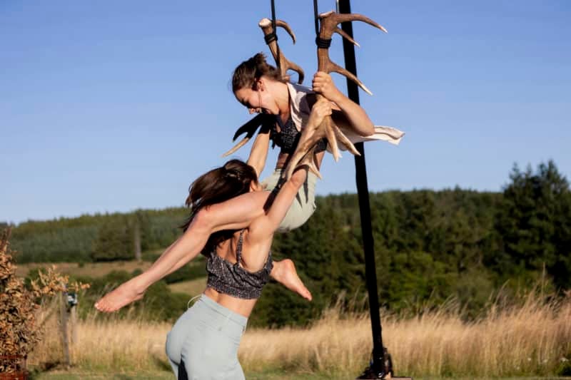 Faune 1
