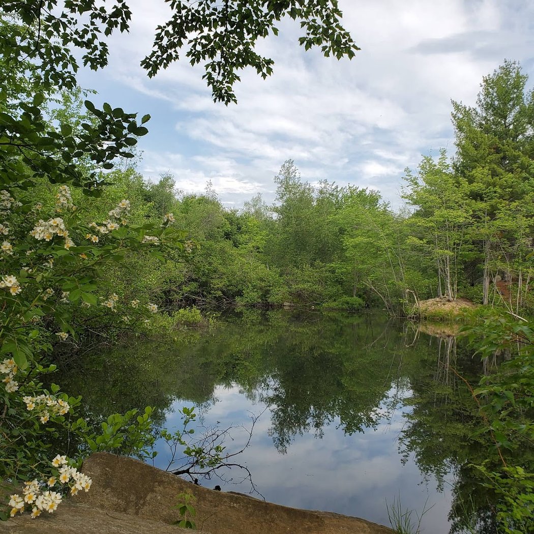 POP UP ADVENTURE: Walk and Swim at Riverside Park with Diane Morgan 1