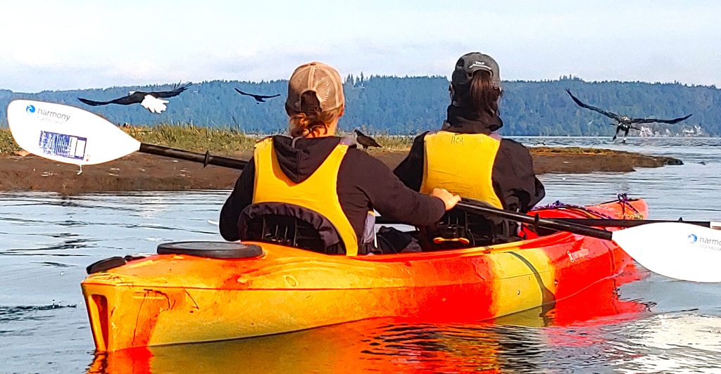 Dosewallips Estuary Kayak Tour 1