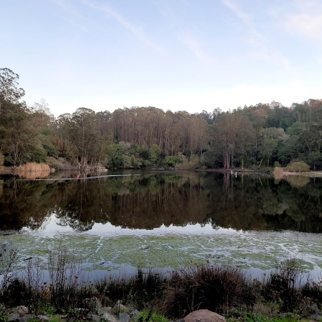 Mineral Springs Picnic Area 3