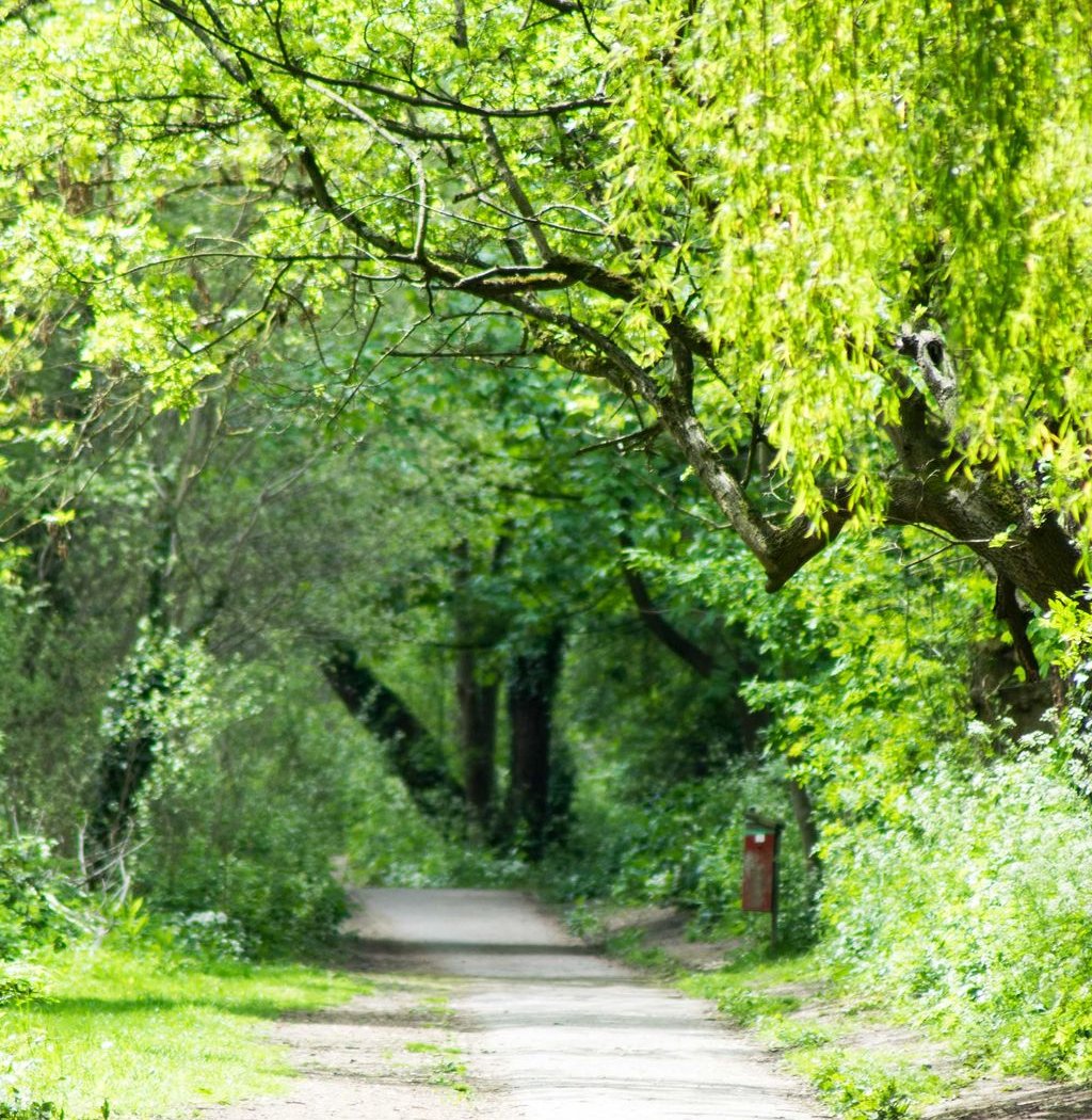 Dollis Valley Greenwalk 1