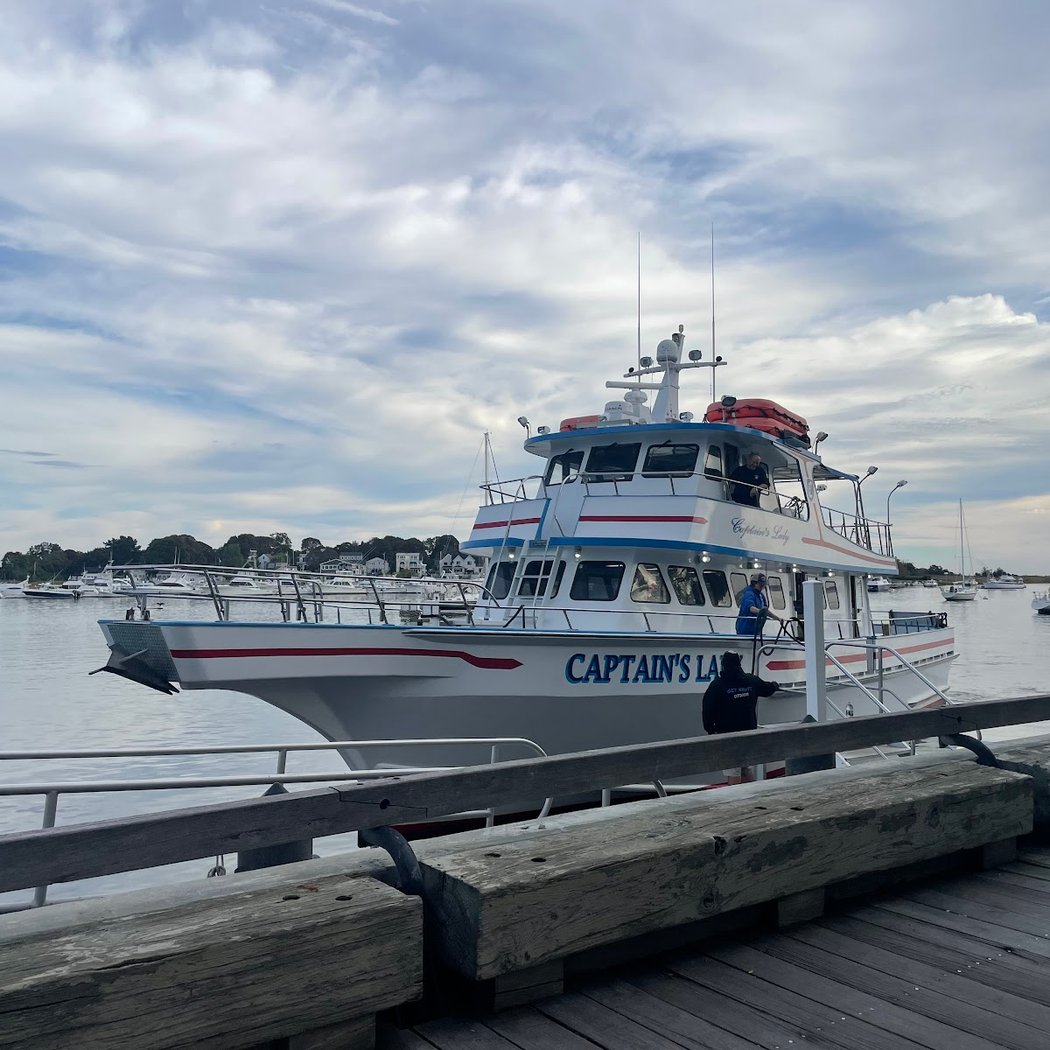 Newburyport Whale Watch 3