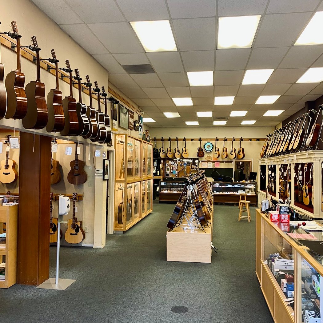 Gryphon Stringed Instruments 3