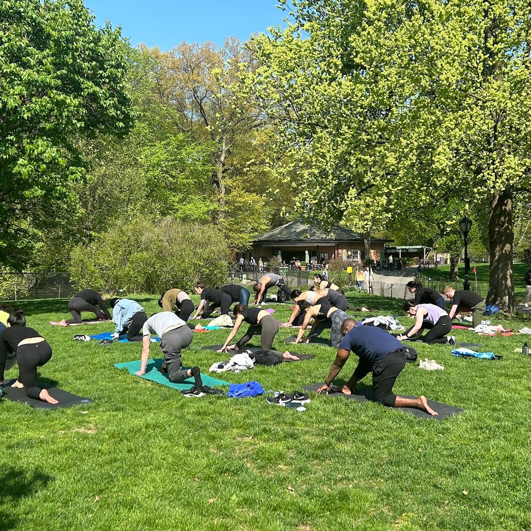 Yoga in Central Park 3